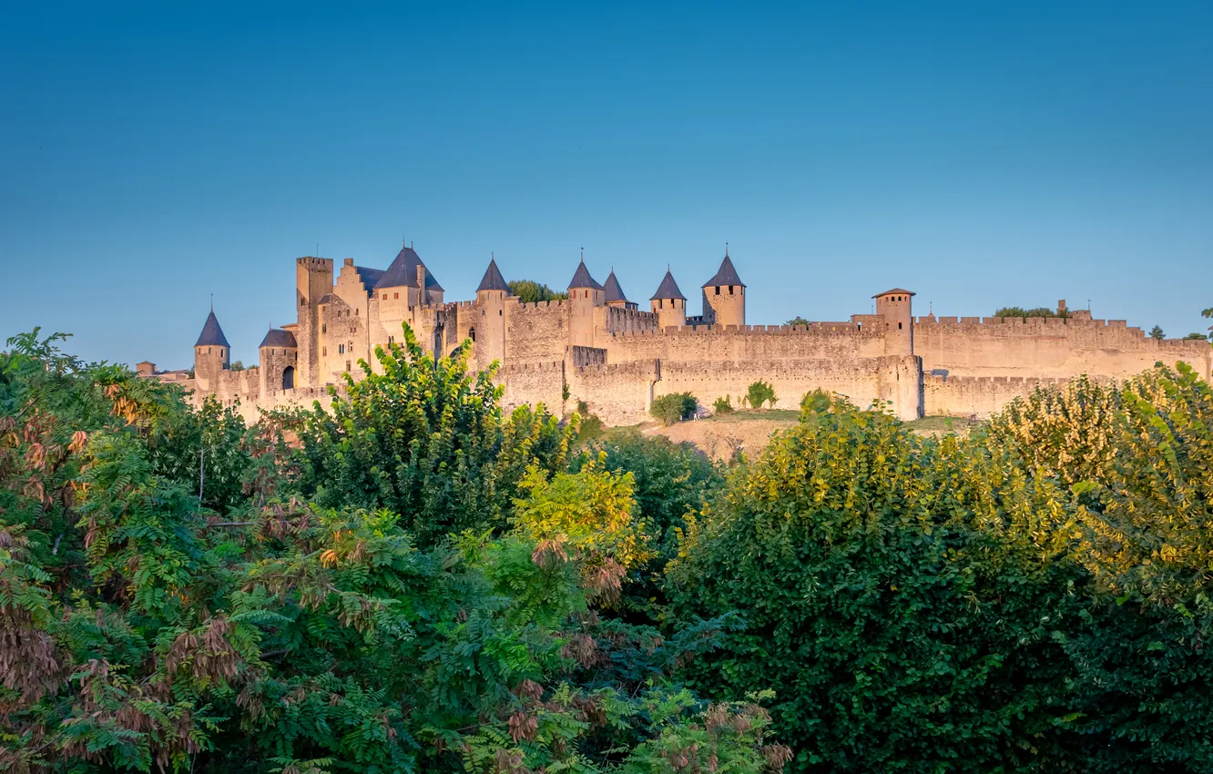 Photo wallpaper the sky, light, trees, blue, castle, shrub
