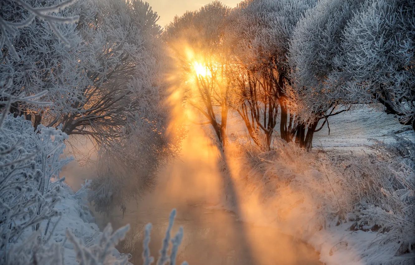 Photo wallpaper winter, frost, river, dawn