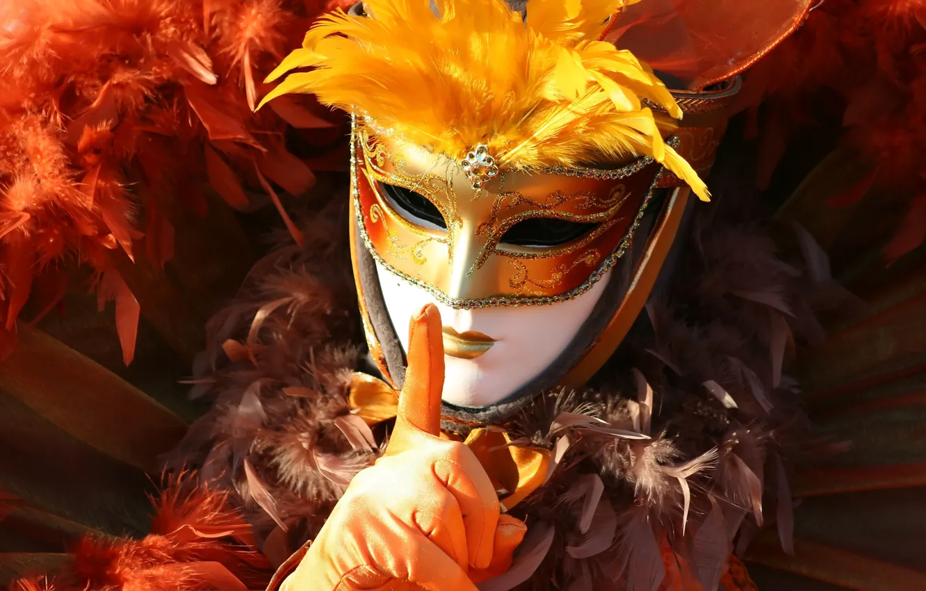 Photo wallpaper mask, costume, gloves, Carnival