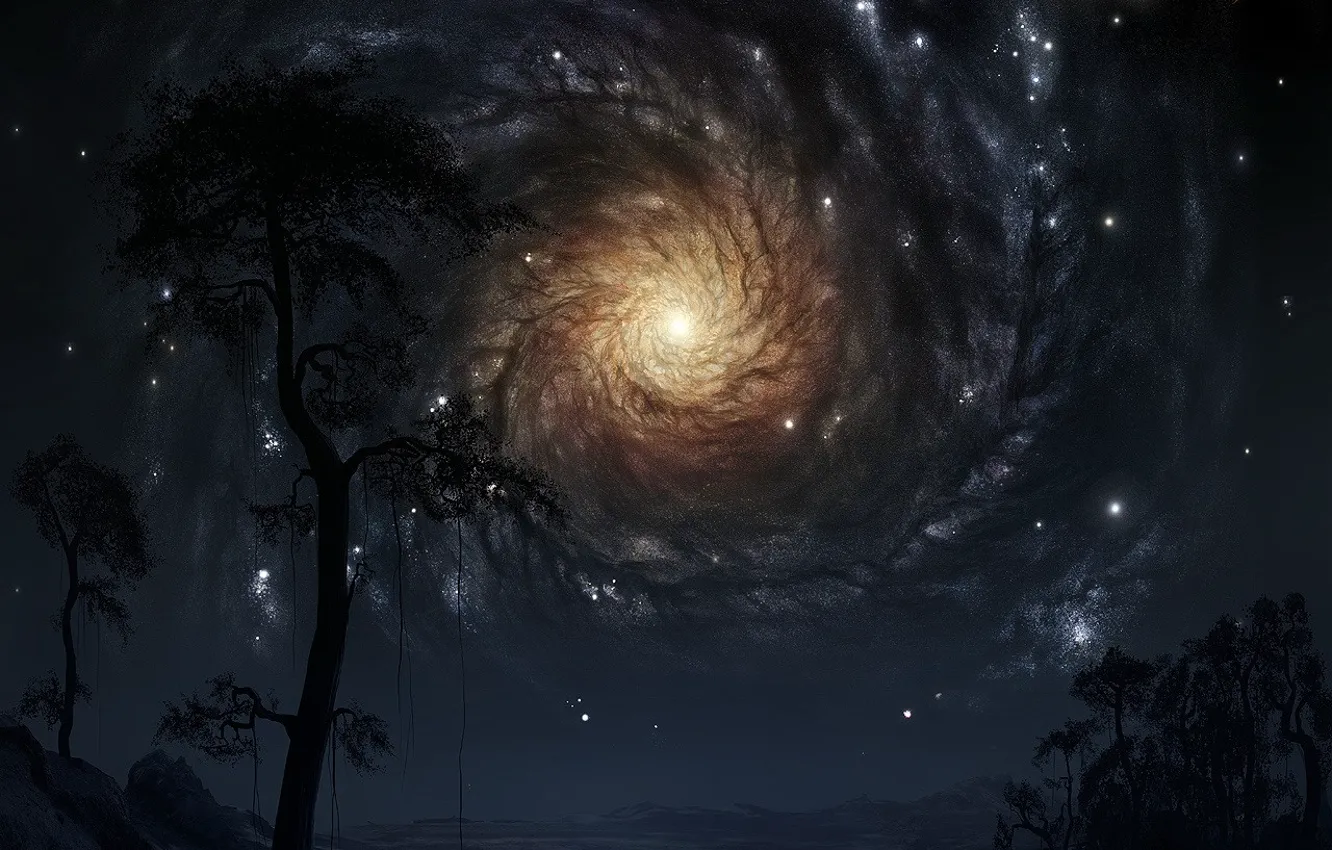 Photo wallpaper stars, Trees, galaxy