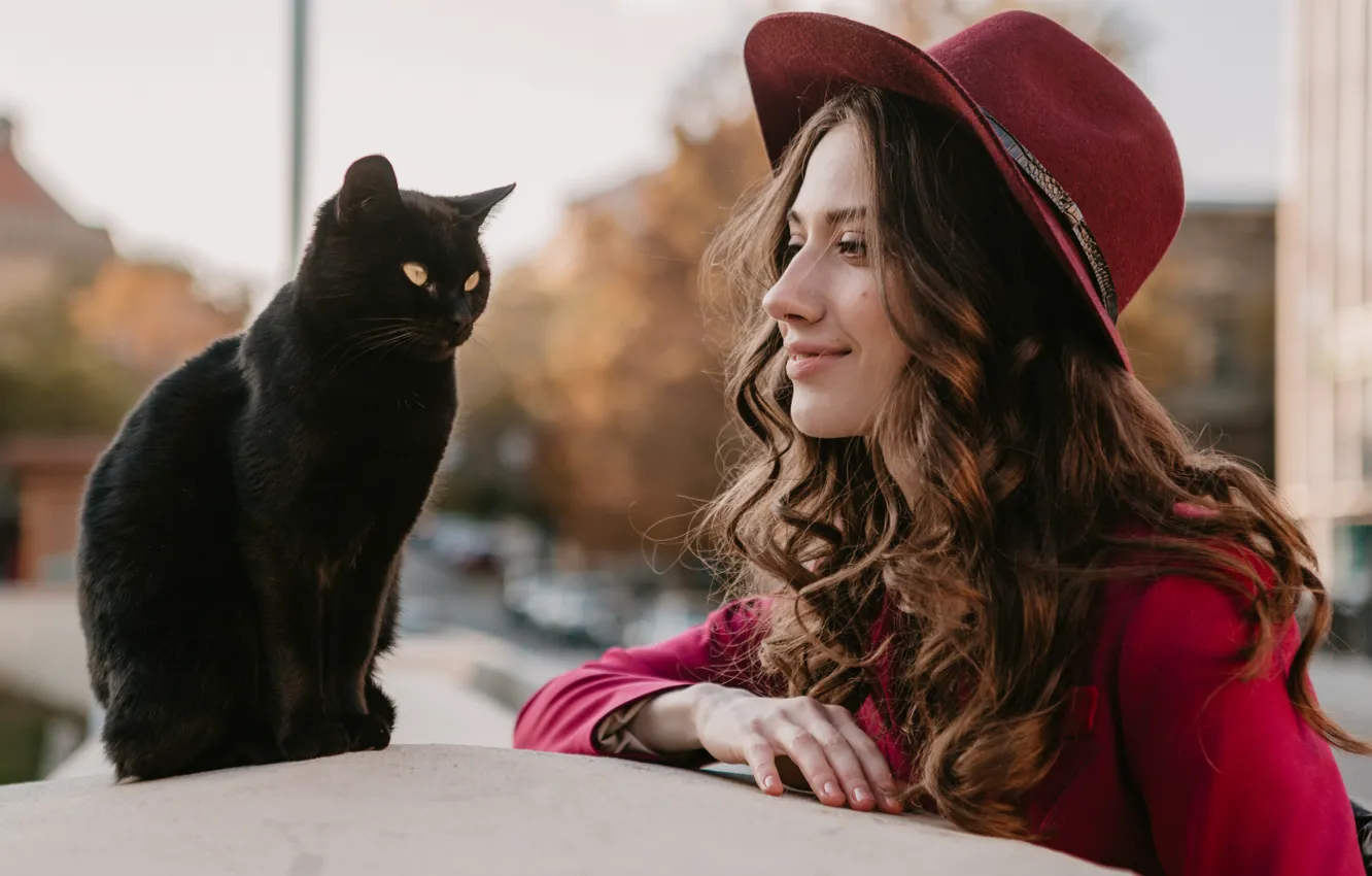 Photo wallpaper cat, girl, hat