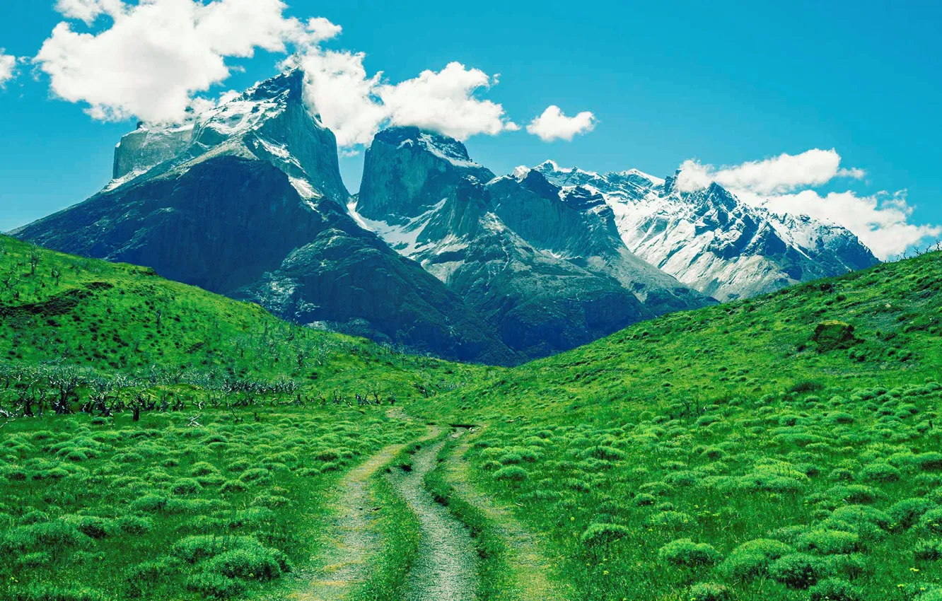 Photo wallpaper road, grass, mountains, vegetation, meadow