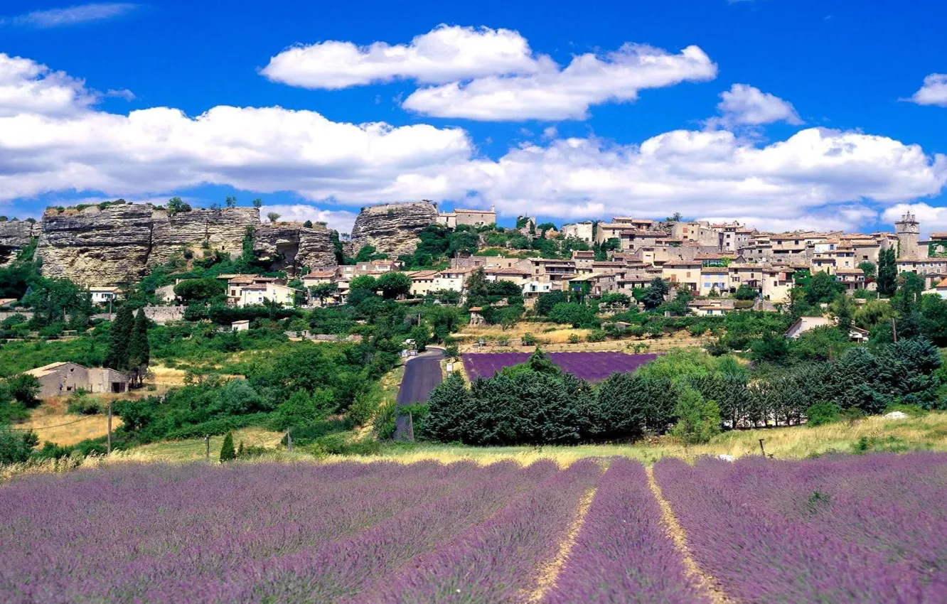 Photo wallpaper fields, hill, lavender, Town