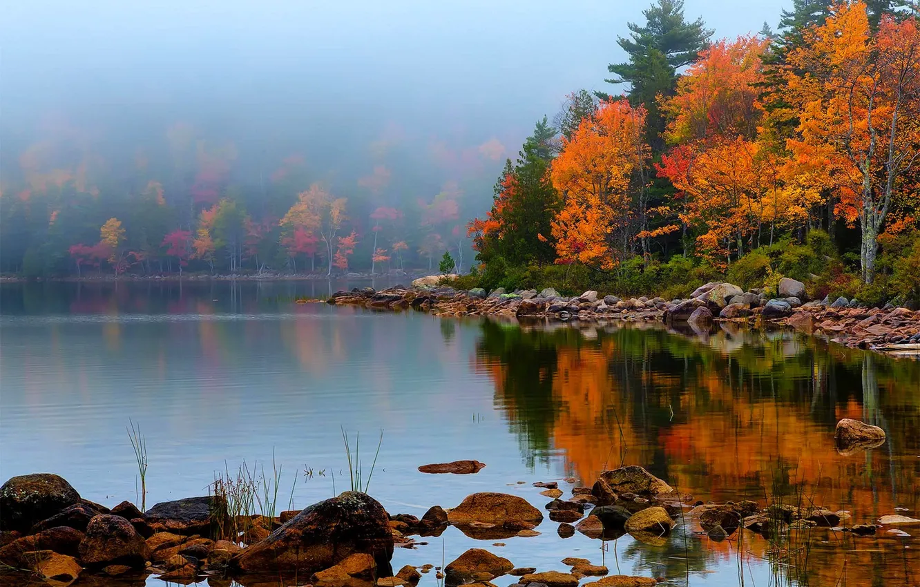 Photo wallpaper autumn, forest, the sky, leaves, water, trees, mountains, nature