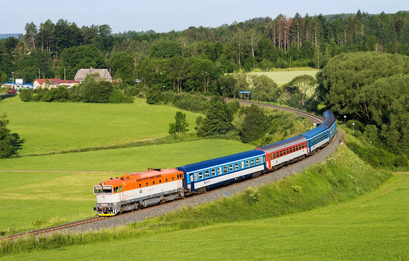 Photo wallpaper field, forest, train, cars, Czech Republic, railroad, railroads