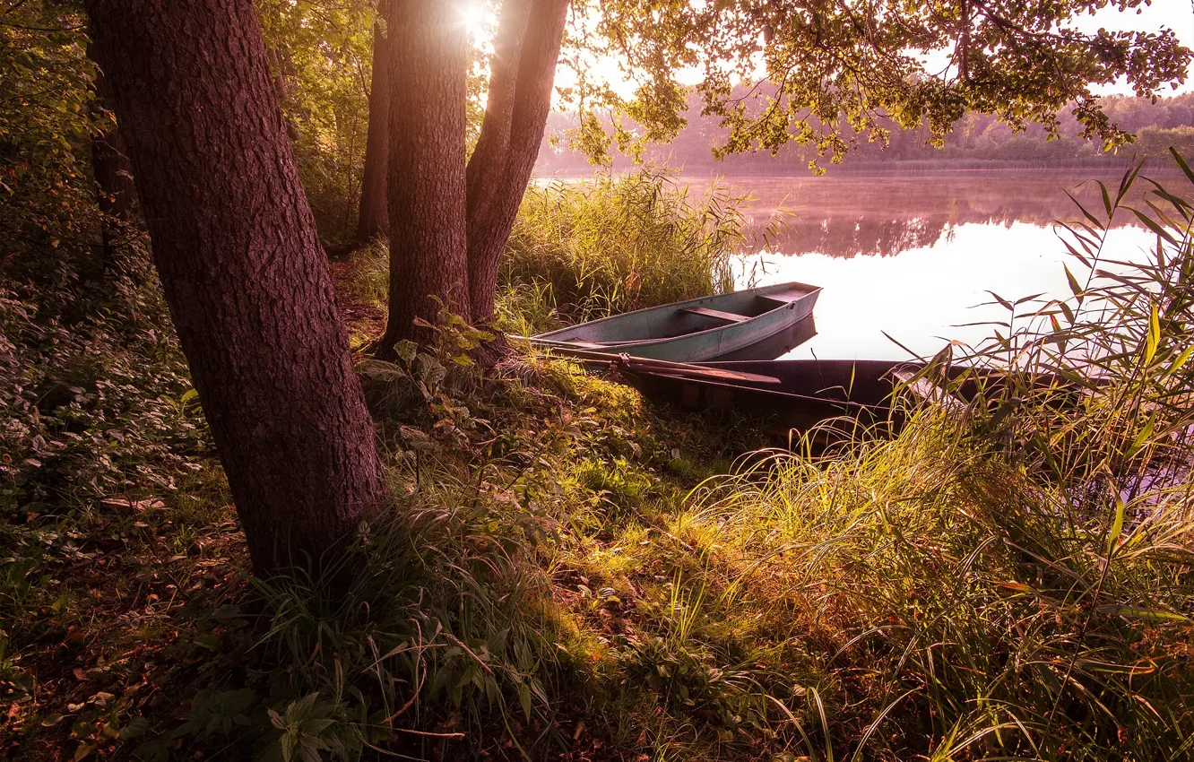 Photo wallpaper grass, trees, landscape, nature, lake, trunks, boats, morning