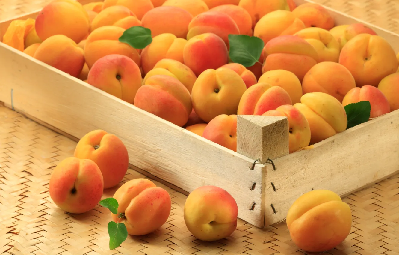 Photo wallpaper fruit, apricots, apricot