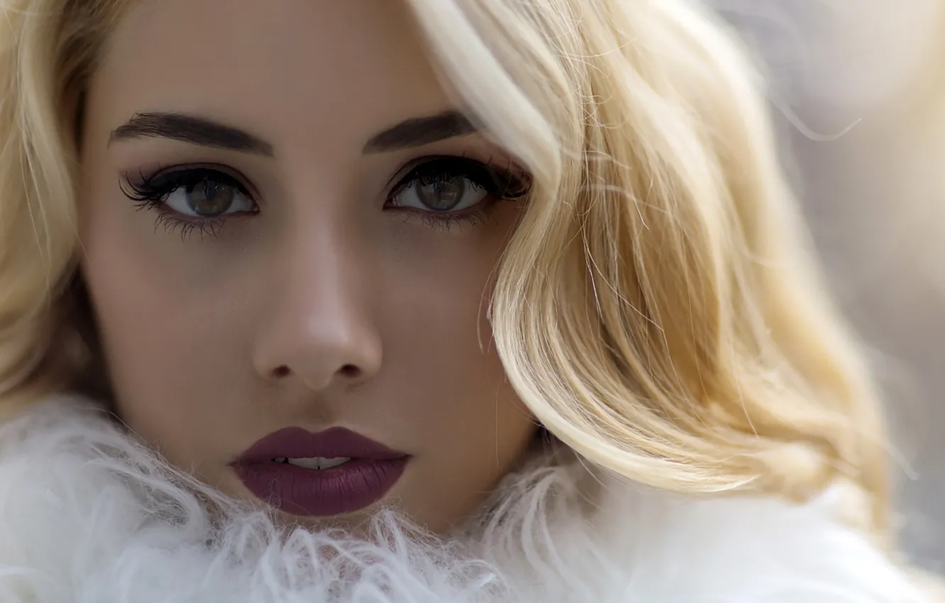 Photo wallpaper eyes, look, model, blonde, Lulu Llamas