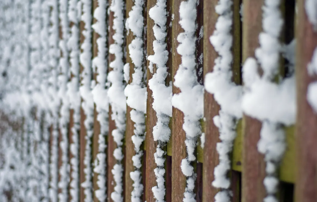 Photo wallpaper macro, snow, the fence