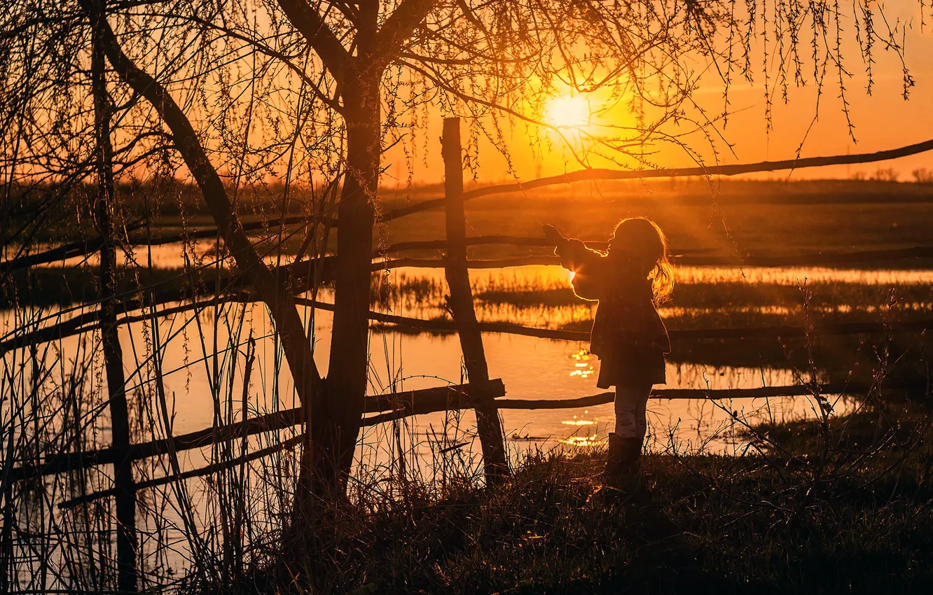 Photo wallpaper the sun, trees, silhouette, girl