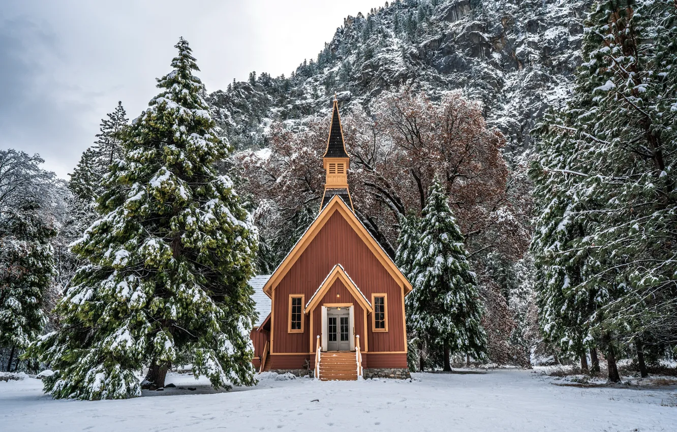 Photo wallpaper winter, forest, snow, trees, mountains, stones, rocks, CA