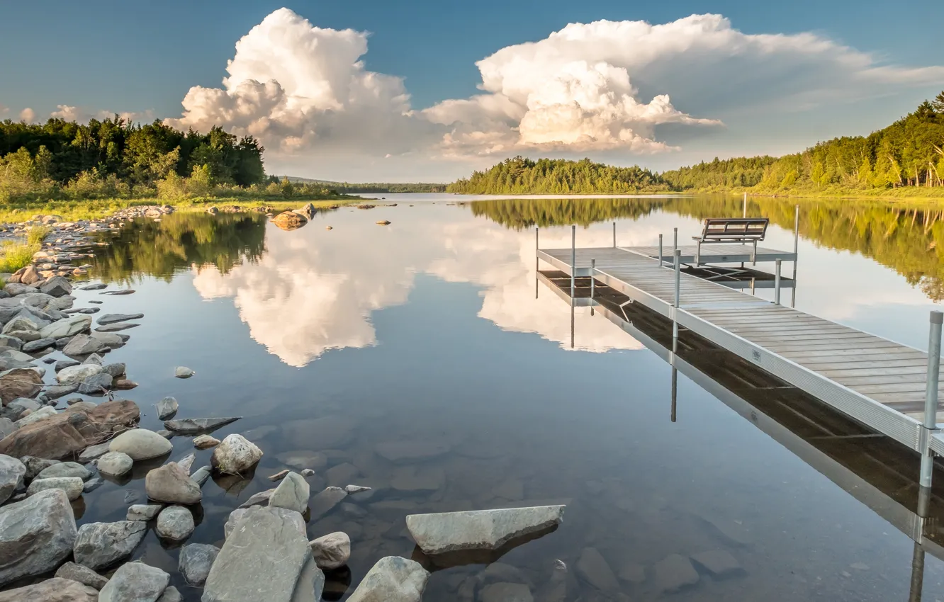 Photo wallpaper forest, summer, the sky, clouds, bench, lake, reflection, stones