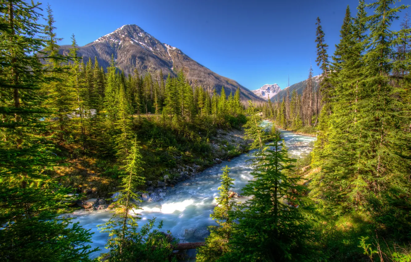 Photo wallpaper trees, mountains, ate, Canada, river, Vermilion Kootenay