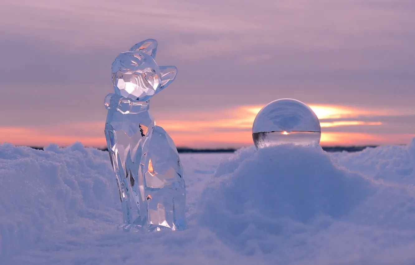Photo wallpaper ice, winter, cat, snow, sunset, balls, sculpture