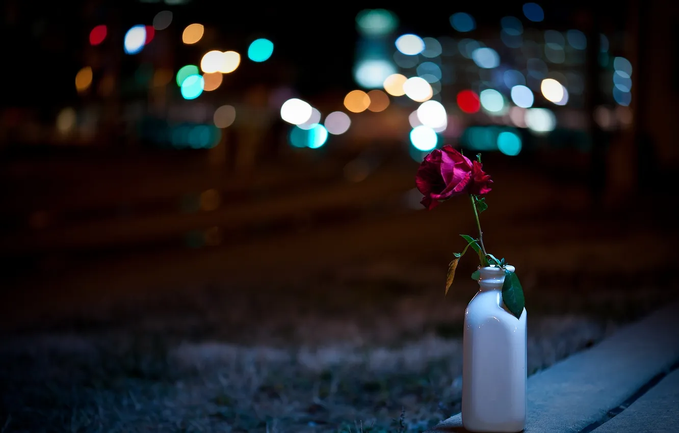 Photo wallpaper flowers, night, the city