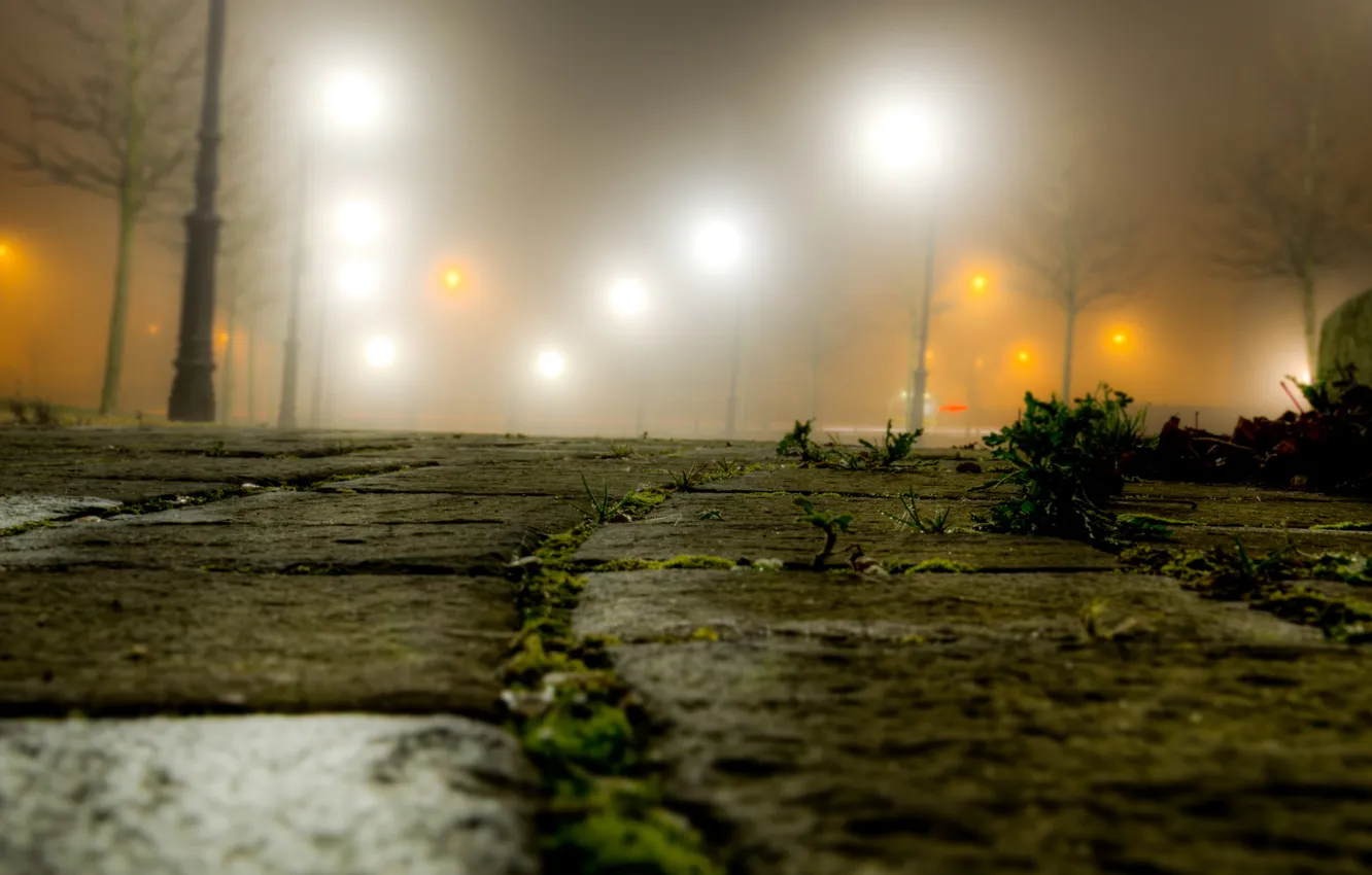 Photo wallpaper night, the city, street