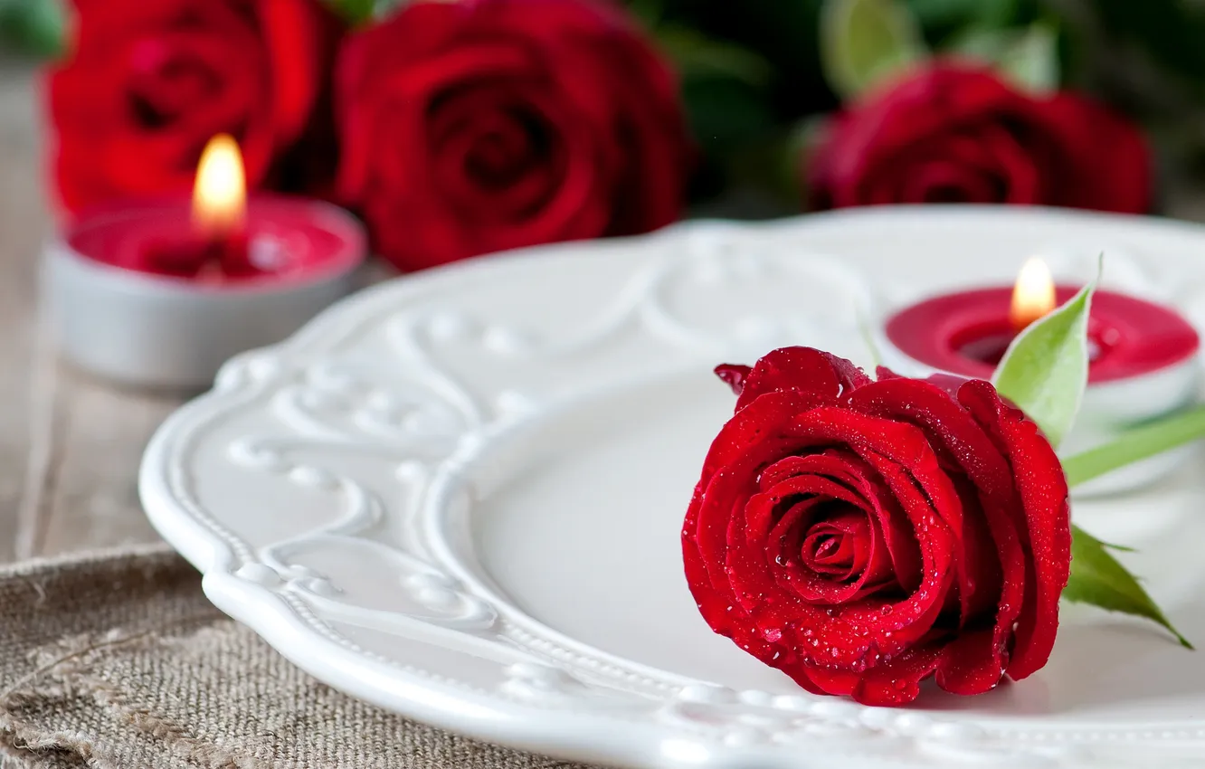 Photo wallpaper drops, flowers, red, droplets, roses, candles, plate, buds