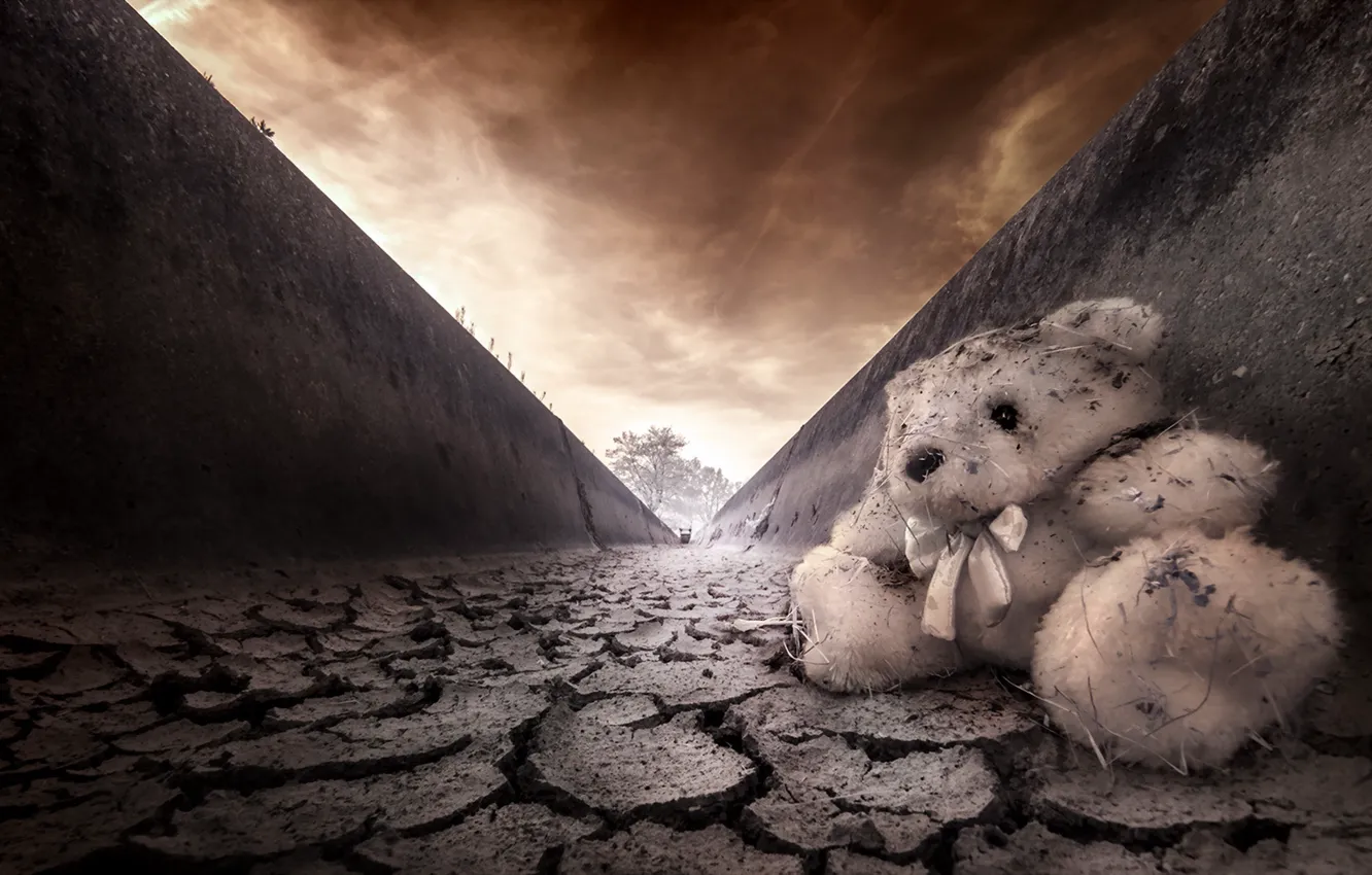 Photo wallpaper road, the sky, toy, bear