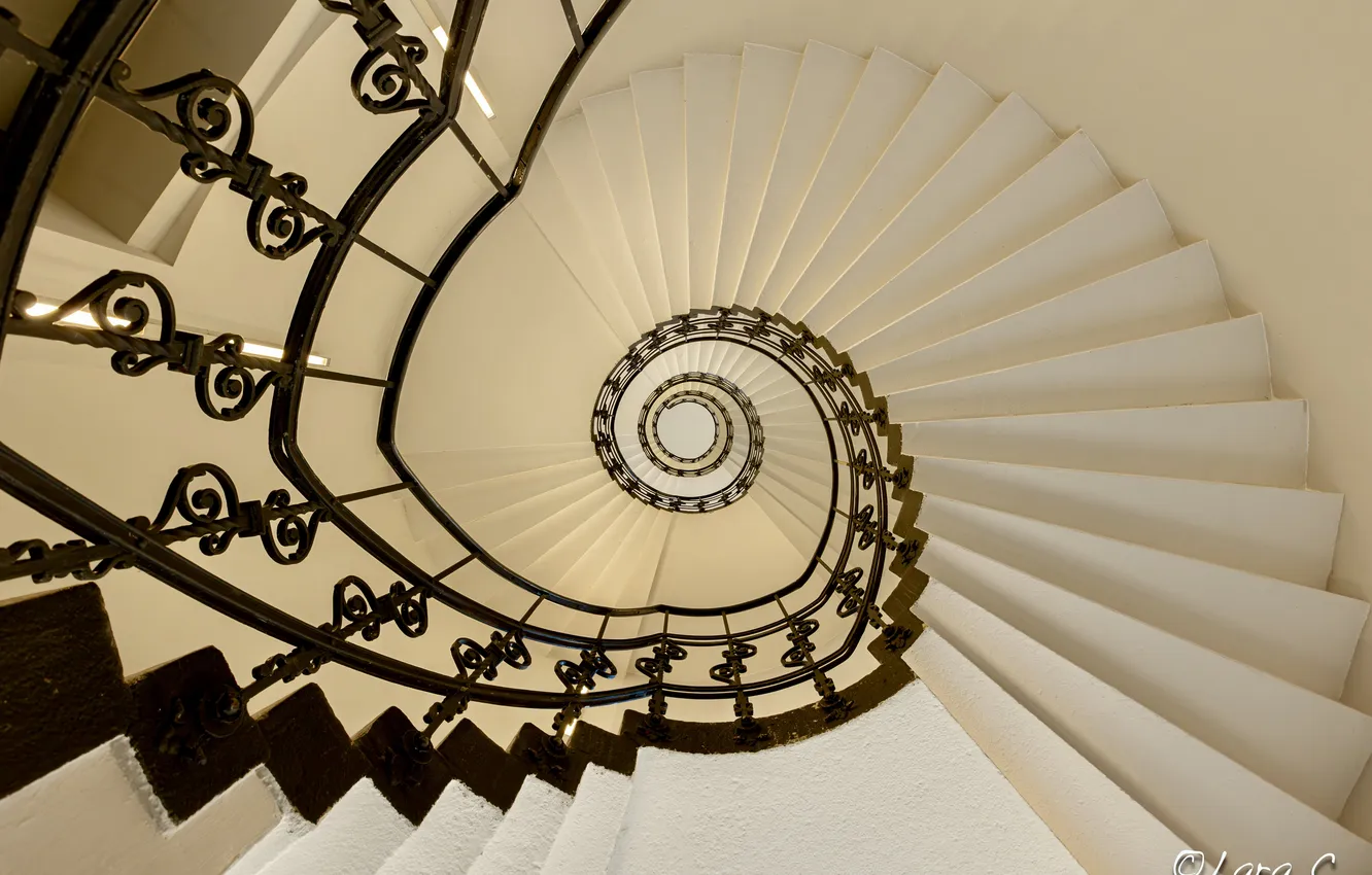 Photo wallpaper ladder, stage, PERILLA, monogram, spiral staircase