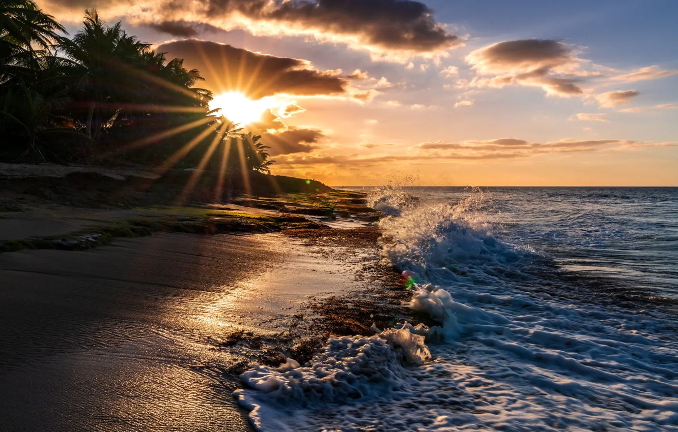 Photo wallpaper sand, sea, wave, beach, the sky, the sun, clouds, rays