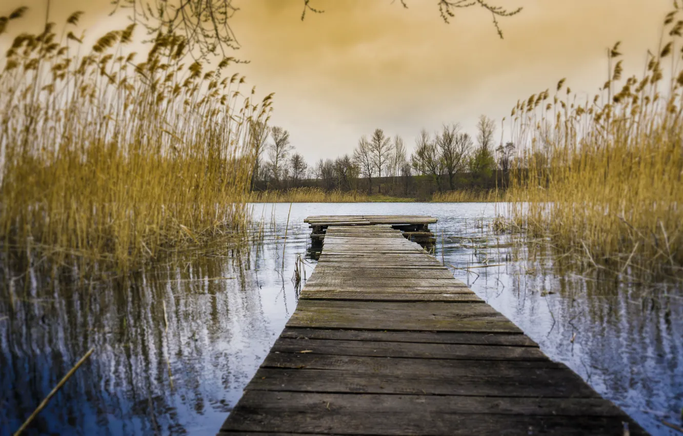 Photo wallpaper autumn, water, lake, HDR, the evening, reed, Russia, Multi-monitors