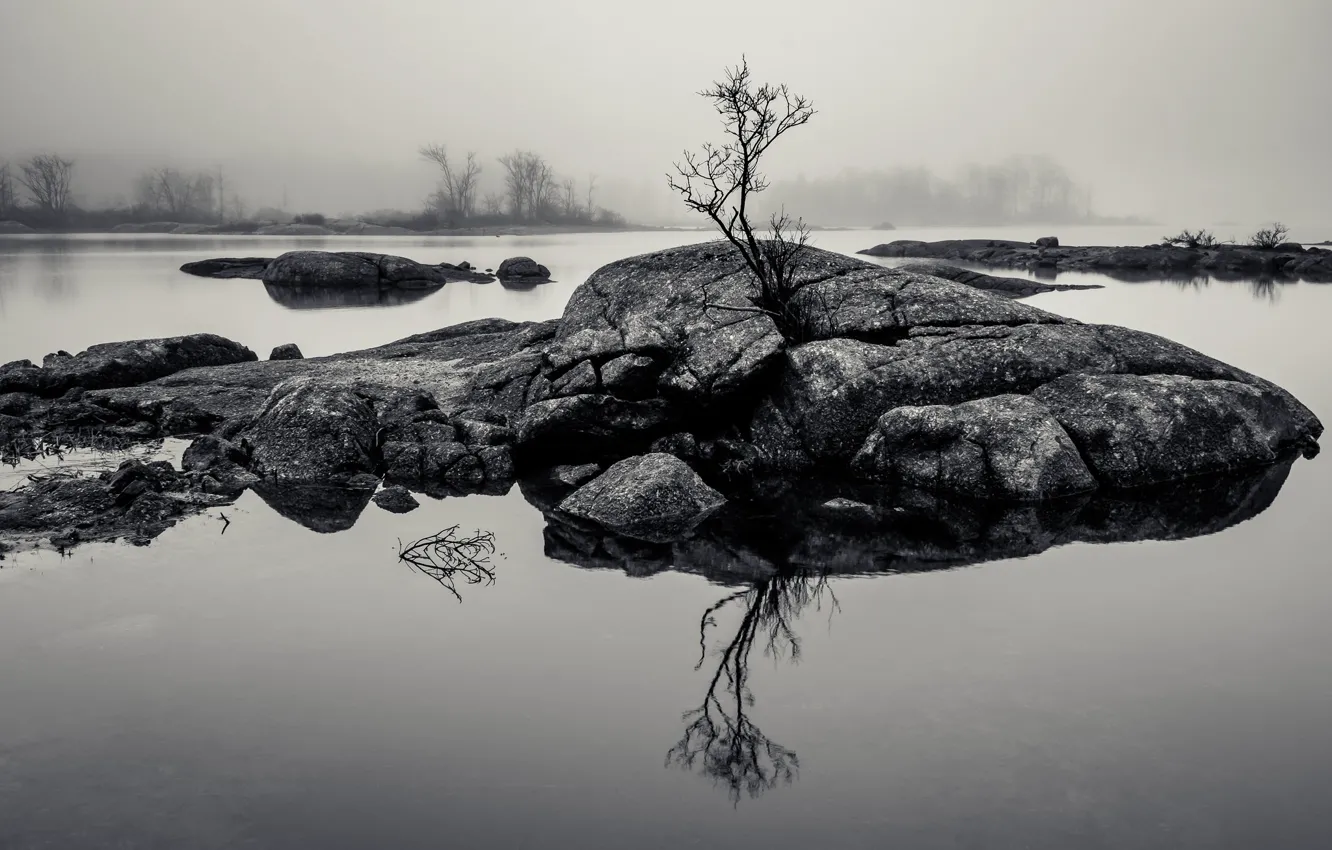 Photo wallpaper rock, water, lake, tree, fog, reflection