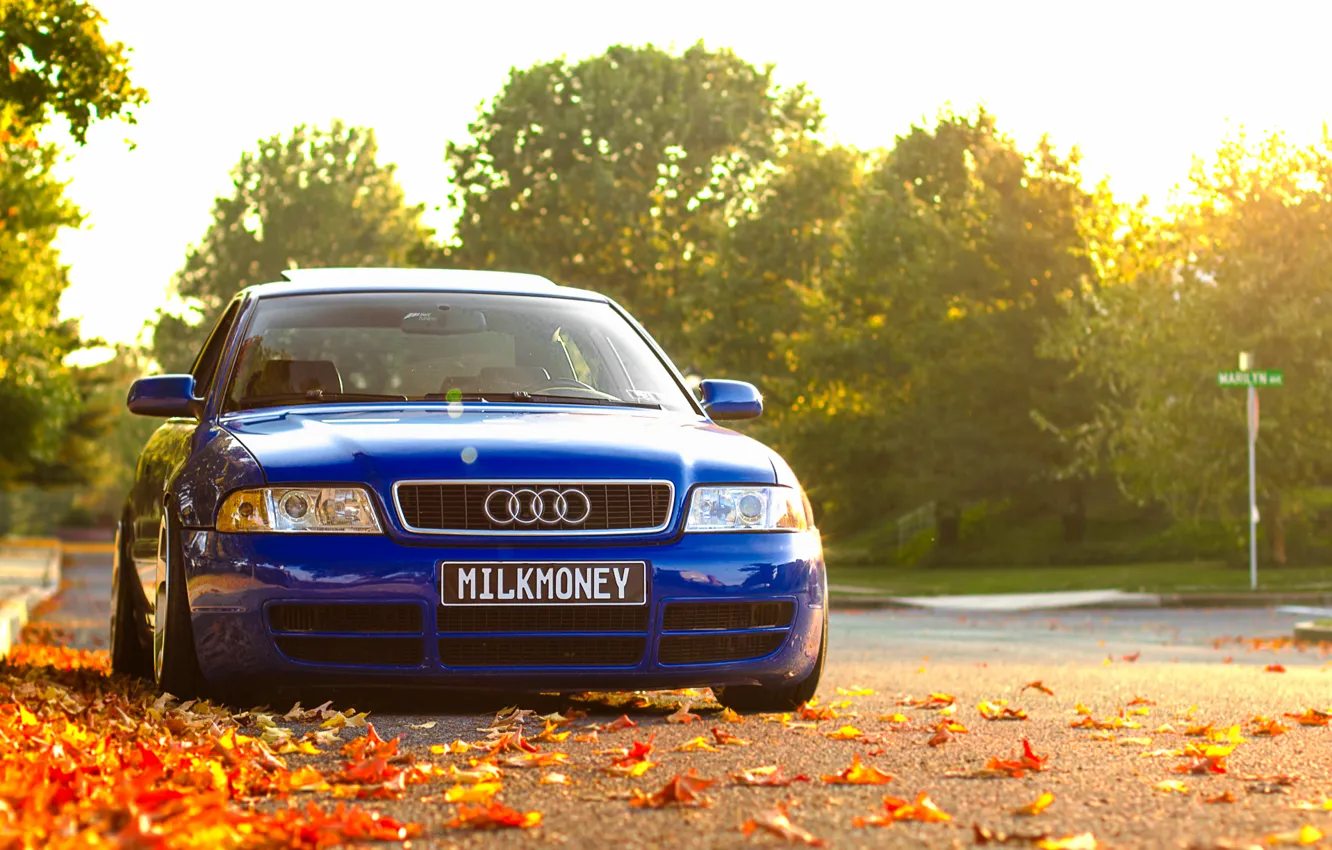 Photo wallpaper autumn, Audi, Audi, foliage, before, blue, blue