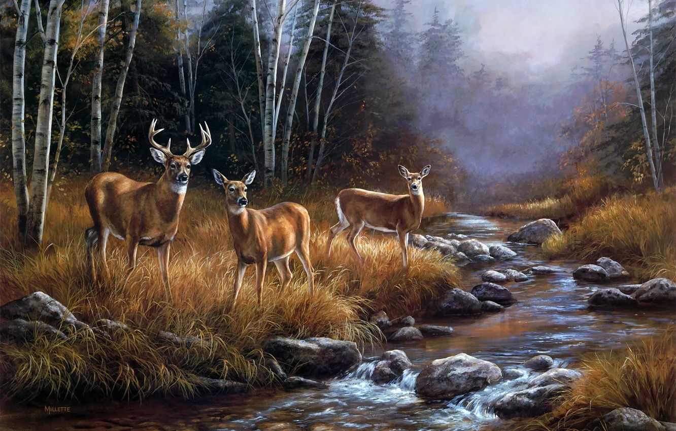 Photo wallpaper forest, landscape, fog, river, stream, deer, October, painting