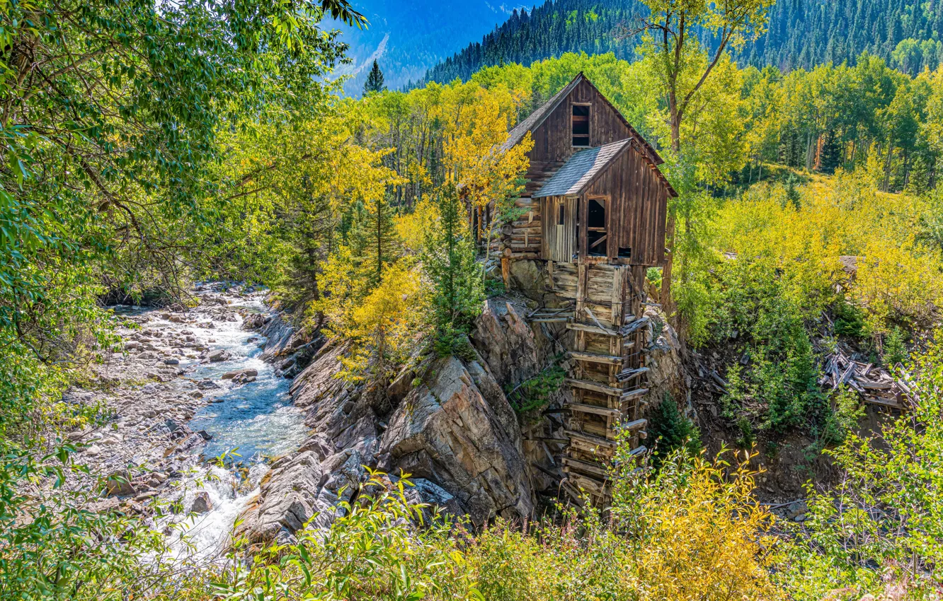 Photo wallpaper autumn, forest, trees, river, Colorado, water mill, Colorado, Crystal Mill