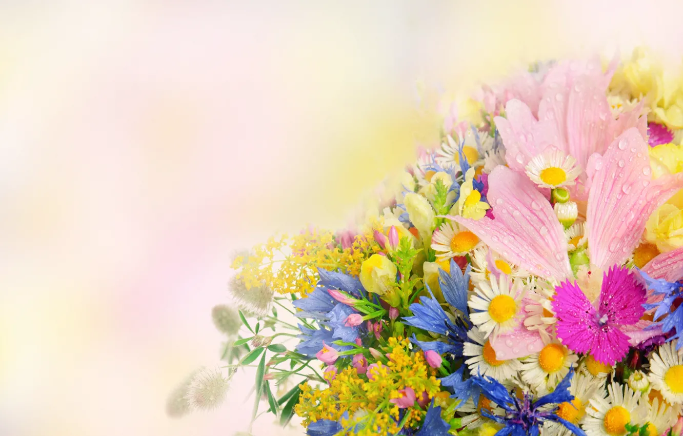 Photo wallpaper summer, flowers, bouquet, daisies, drops, petals