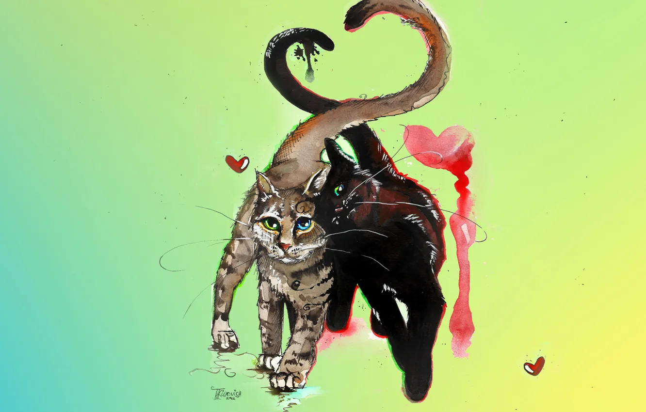 Photo wallpaper cat, cat, mustache, love, cats, cats, heart, figure