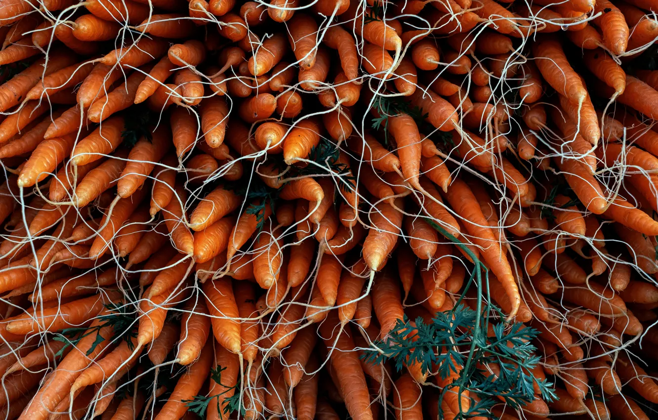 Photo wallpaper food, vegetables, carrots