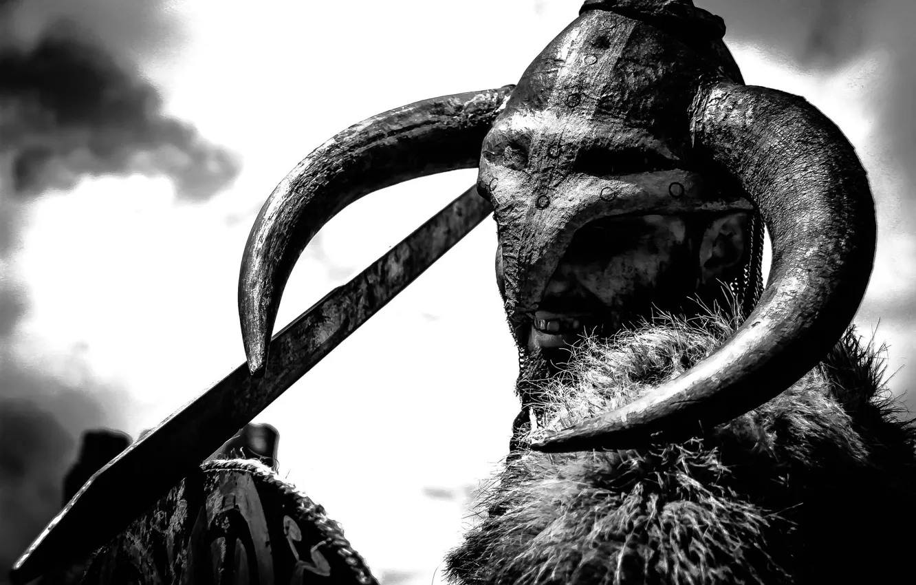 Photo wallpaper warrior, horns, helmet, The Vikings