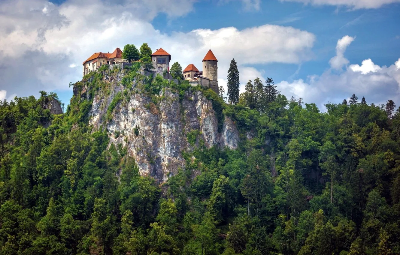 Photo wallpaper forest, castle, rocks
