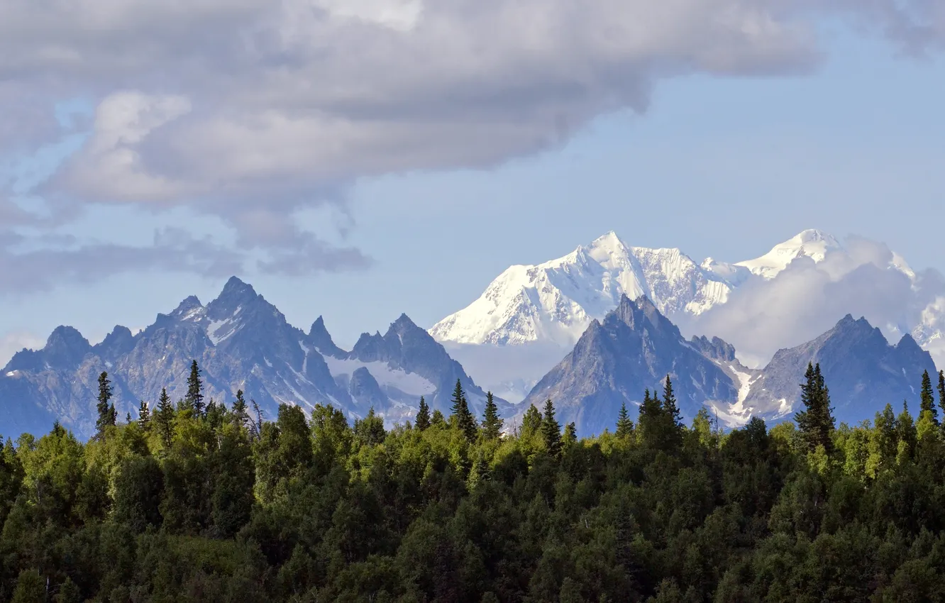 Photo wallpaper forest, clouds, snow, mountains, ridge