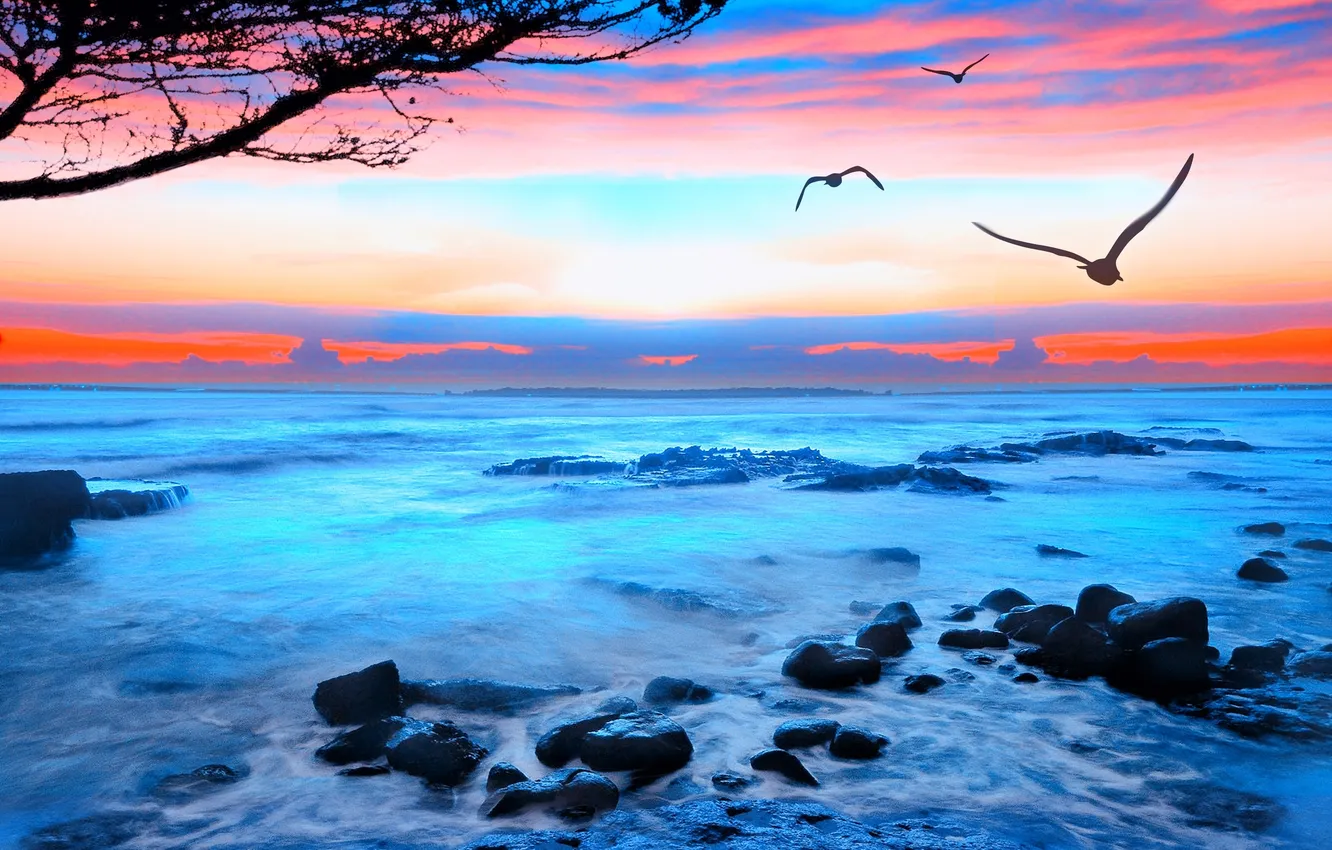 Photo wallpaper sea, wave, the sky, foam, sunset, birds, stones, seagulls