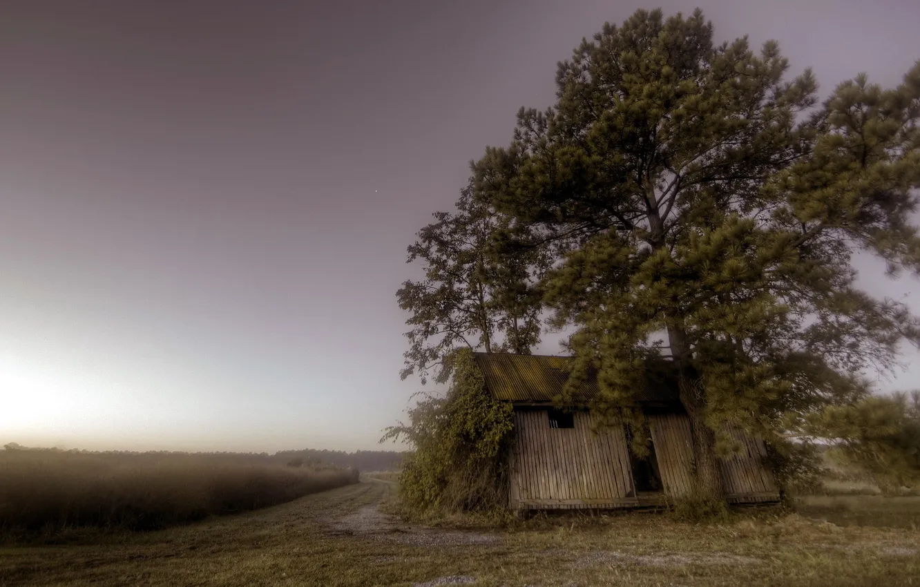 Photo wallpaper field, fog, home, morning
