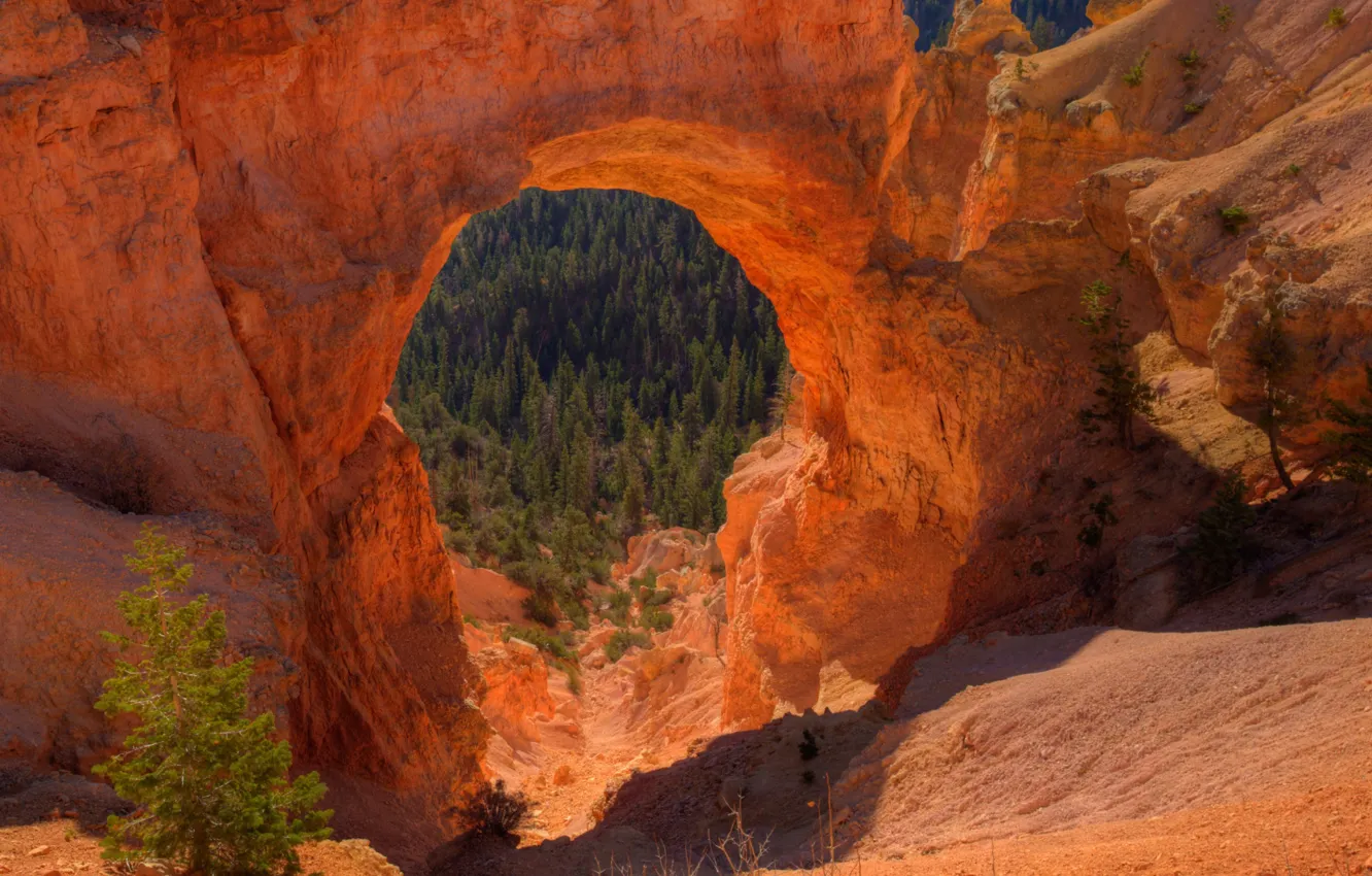 Photo wallpaper mountains, rocks, arch, Utah, USA, Bryce Canyon