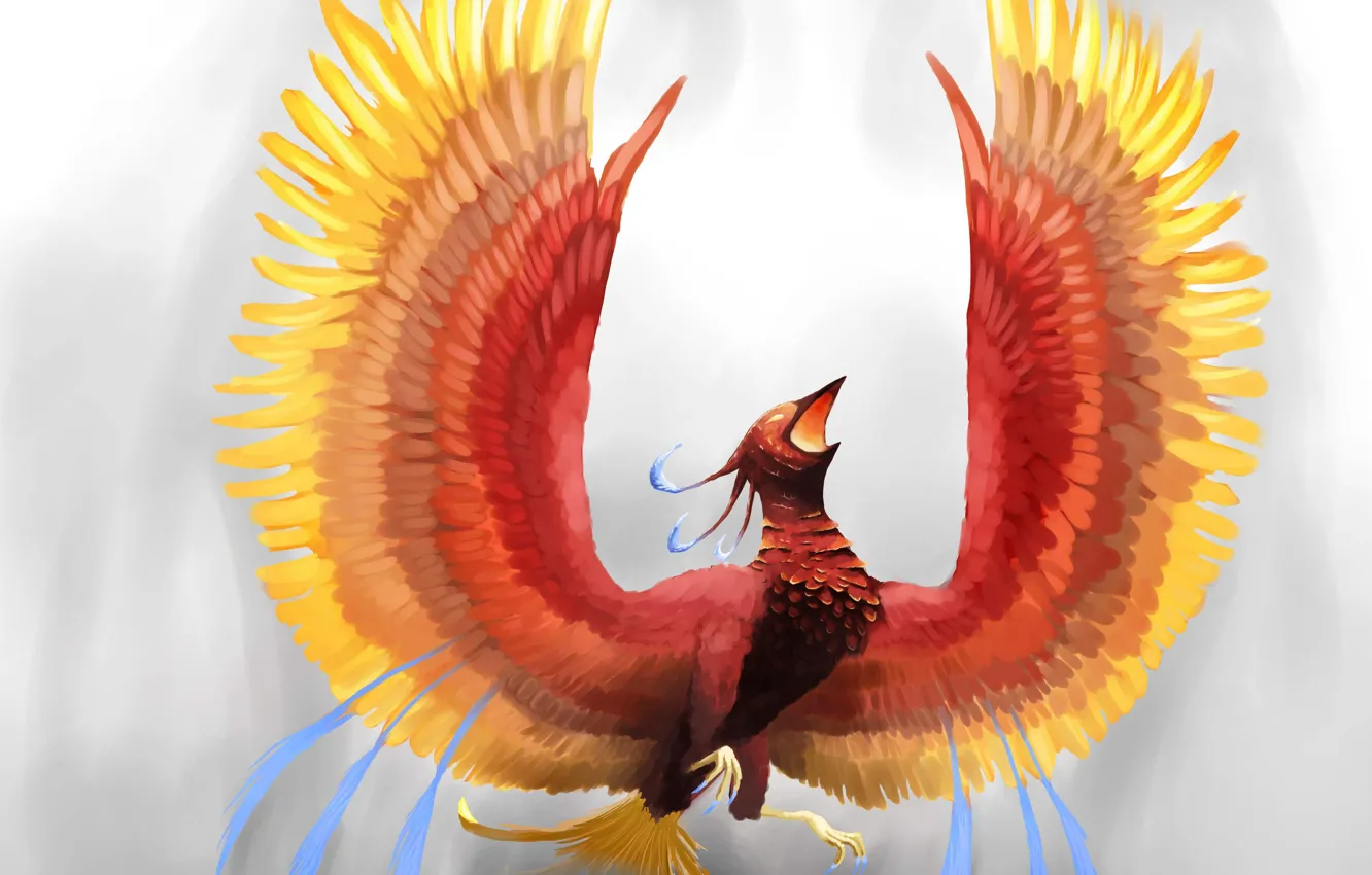 Photo wallpaper look, lights, background, fiction, wings, feathers, art, Phoenix