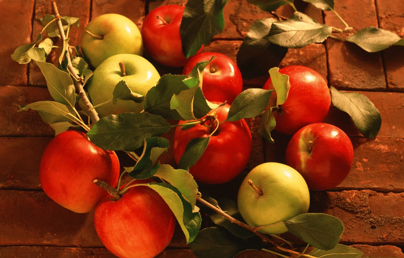 Photo wallpaper leaves, apples, harvest