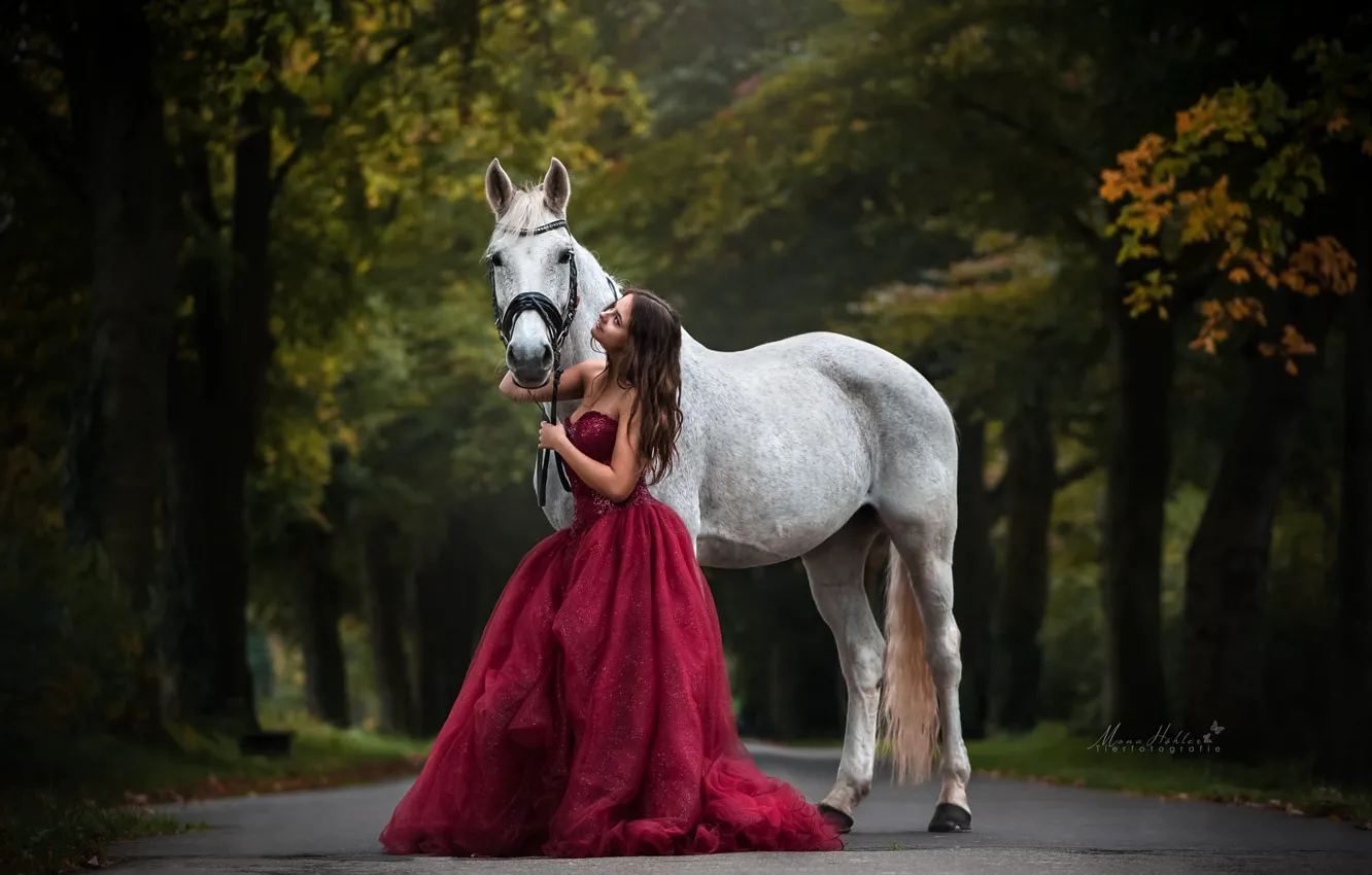 Photo wallpaper road, autumn, girl, horse, dress, Mona Hоhler
