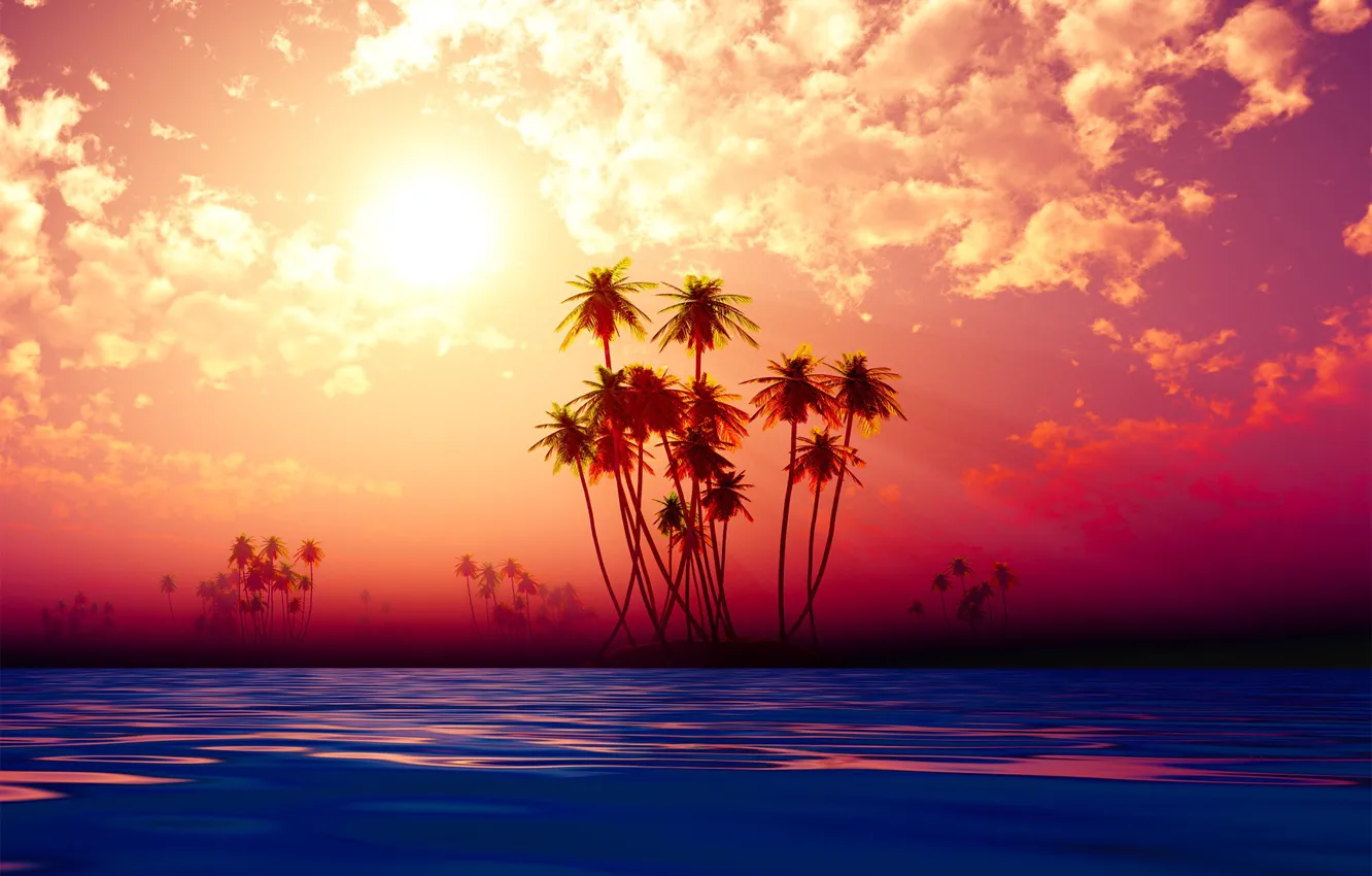 Photo wallpaper beach, sky, sunset, palms