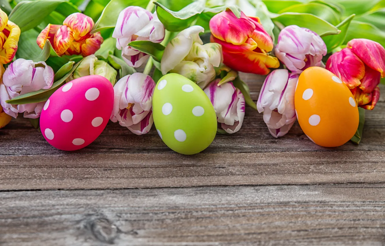 Photo wallpaper eggs, Easter, Easter eggs, easter, happy easter