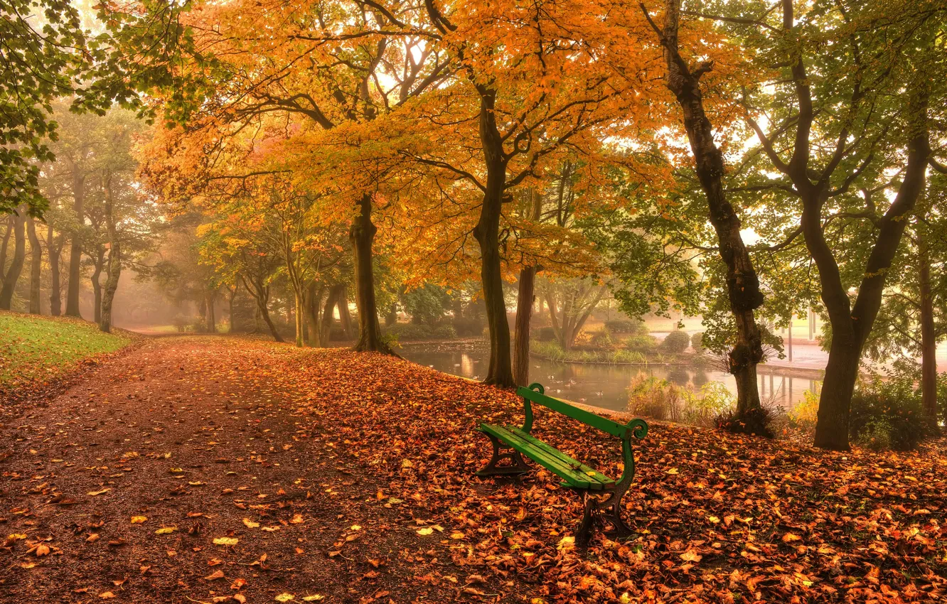 Photo wallpaper autumn, leaves, water, trees, landscape, bench, nature, green