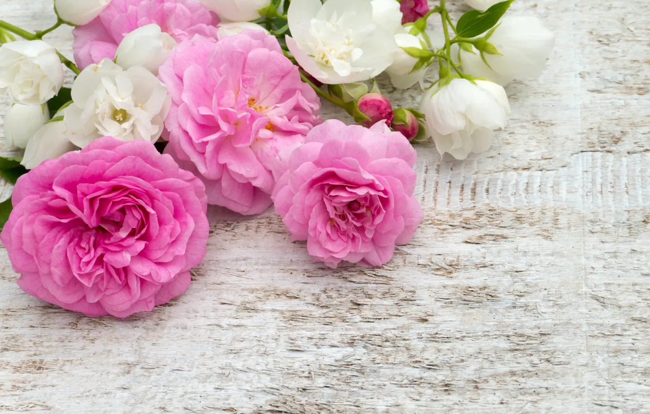 Photo wallpaper flowers, roses, bouquet, pink, white, buds, pink, flowers