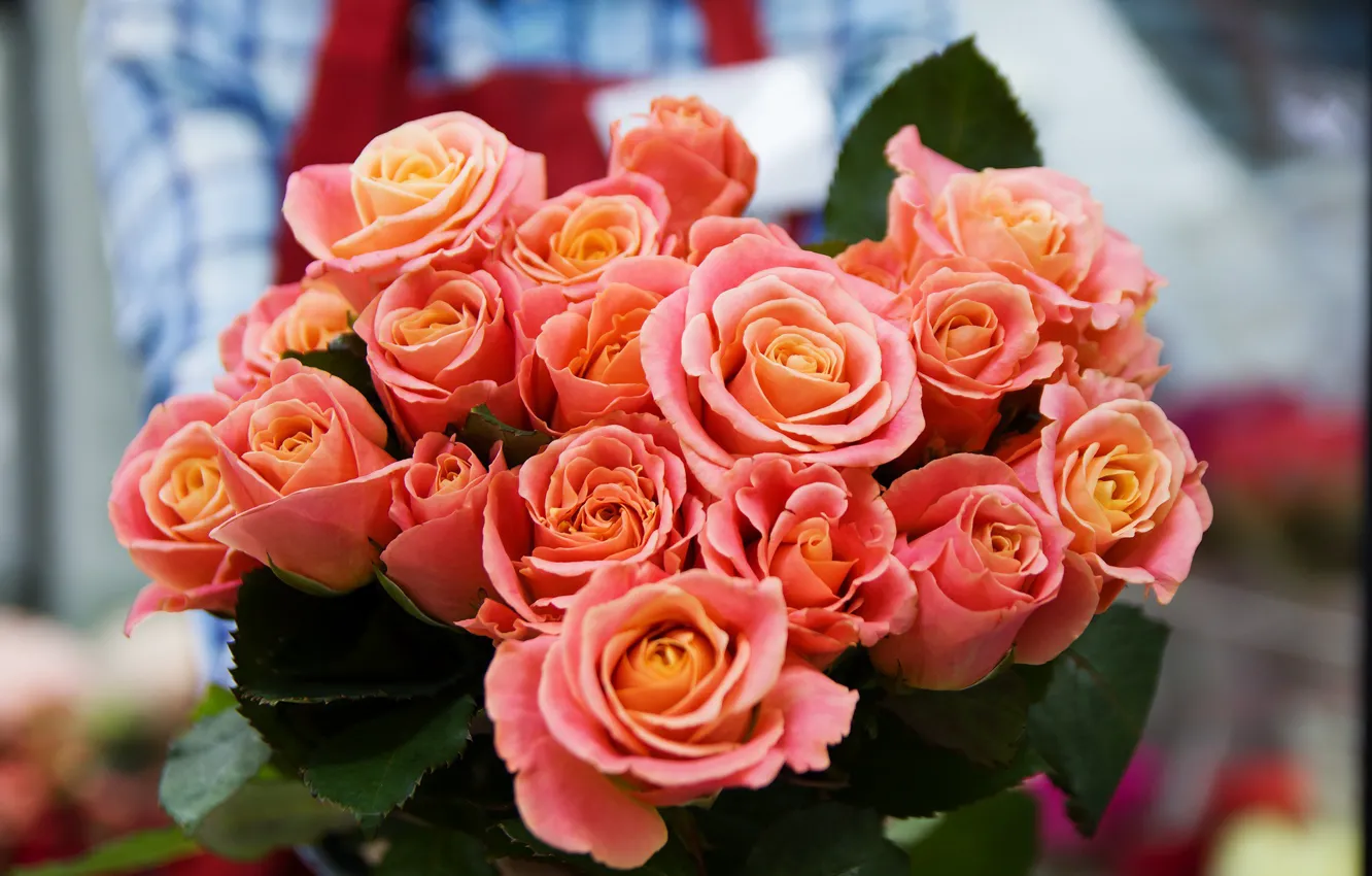 Photo wallpaper flowers, orange, roses, bouquet