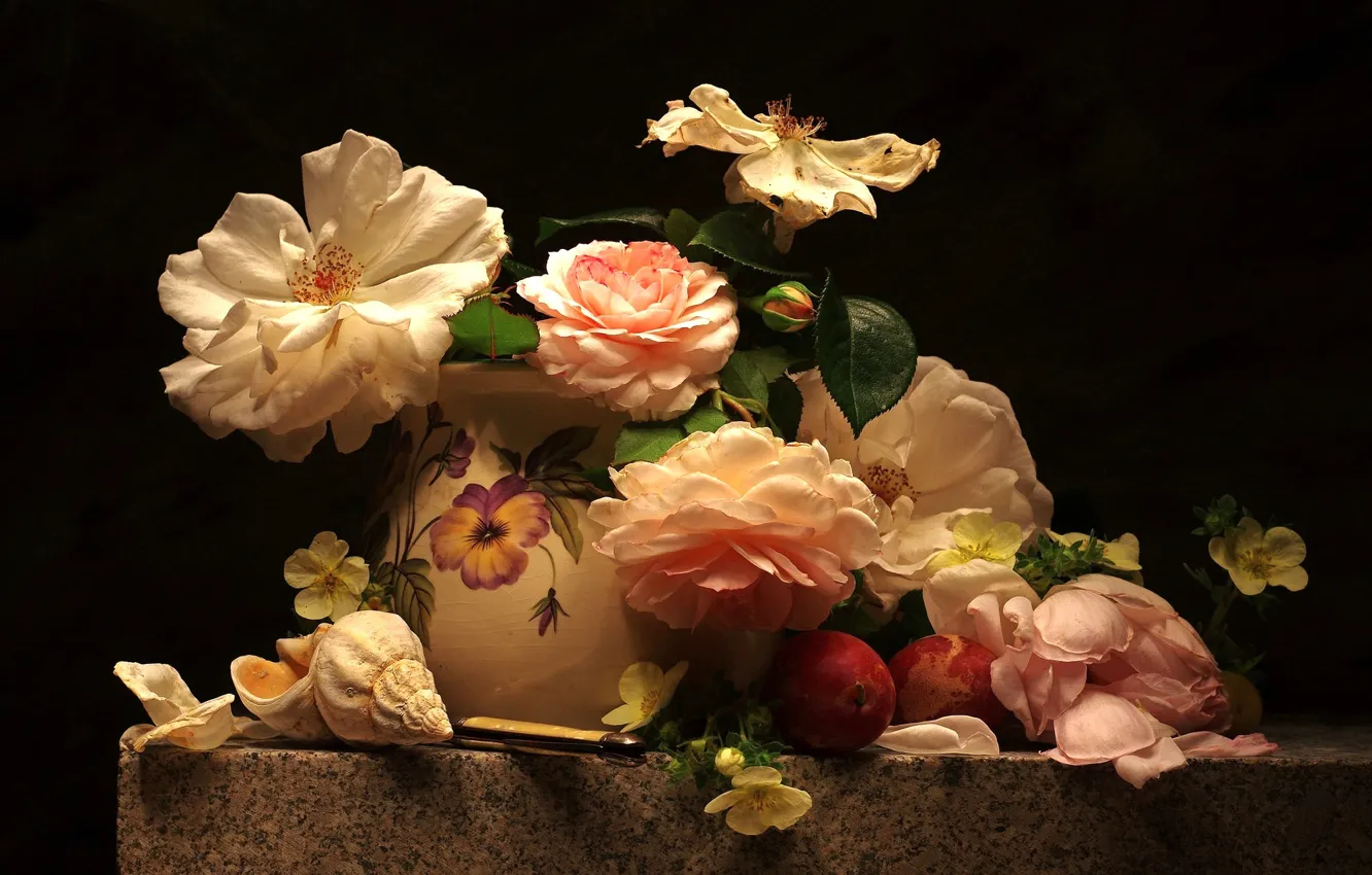 Photo wallpaper roses, shell, composition, apricots