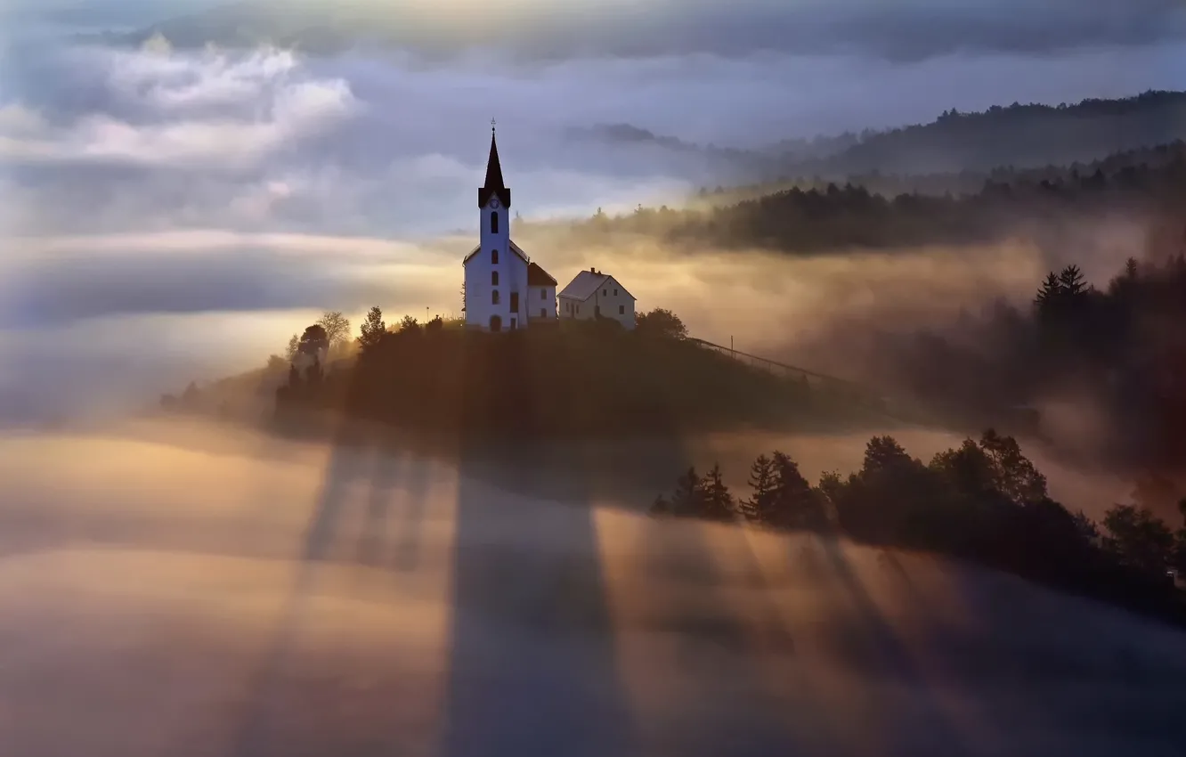 Photo wallpaper forest, light, fog, morning, Church
