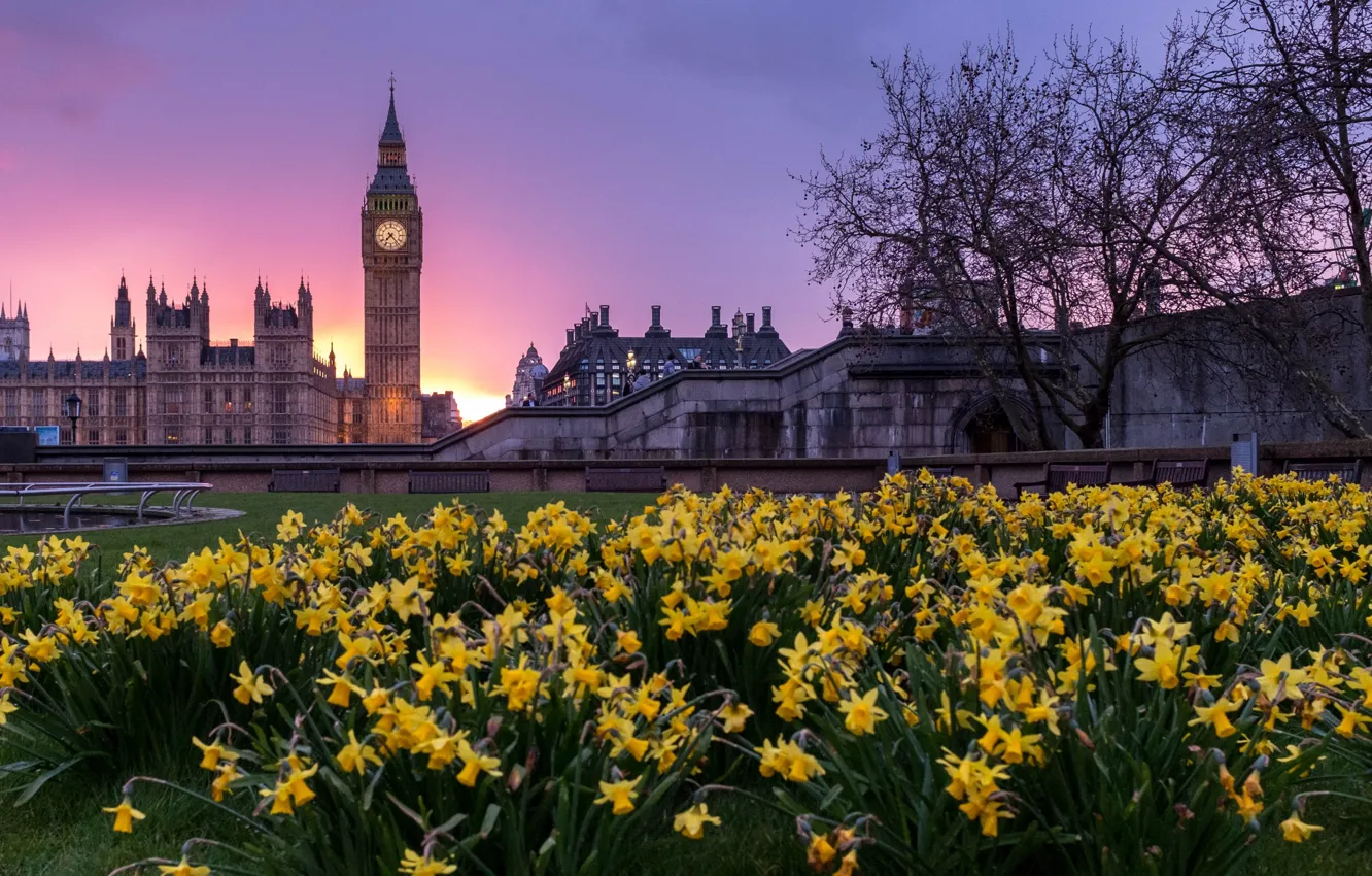 Photo wallpaper trees, flowers, the city, lawn, London, building, tower, spring