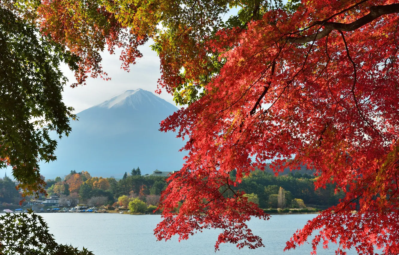 Photo wallpaper autumn, the sky, leaves, trees, lake, house, Japan, mount Fuji